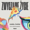 audiobooki: Zwyczajne życie - audiobook