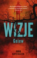 Inne: Wizje - ebook