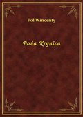 ebooki: Boża Krynica - ebook