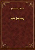 Kij krzywy - ebook