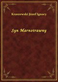 Syn Marnotrawny - ebook