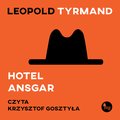 Literatura piękna, beletrystyka: Hotel Ansgar - audiobook
