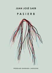 : Pasierb - ebook