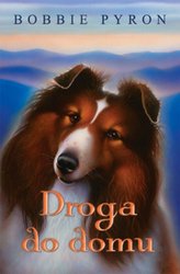 : Droga do Domu - ebook