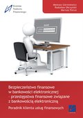 Bezpieczeństwo finansowe w bankowości elektronicznej - przestępstwa związane z bankowością elektroniczną - ebook