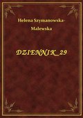 Dziennik 29 - ebook