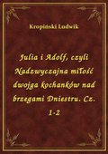 Julia i Adolf, czyli Nadzwyczajna miłość dwojga kochanków nad brzegami Dniestru. Cz. 1-2 - ebook