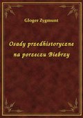 Osady przedhistoryczne na porzeczu Biebrzy - ebook