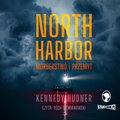 Kryminał, sensacja, thriller: North Harbor. Morderstwo i przemyt - audiobook