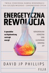 : Energetyczna rewolucja - ebook