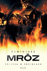 : Światła w popiołach - ebooki