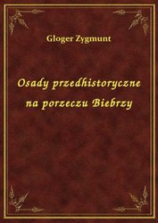 : Osady przedhistoryczne na porzeczu Biebrzy - ebook
