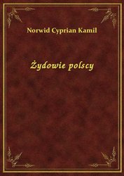: Żydowie polscy - ebook