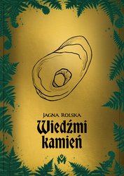 : Wiedźmi kamień - ebook